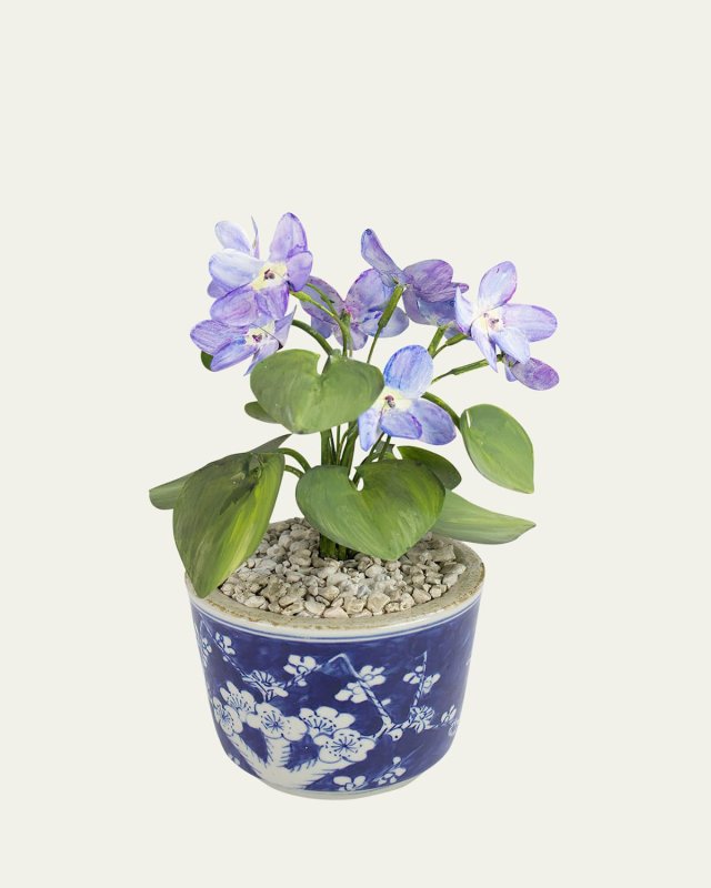 Violet February Birth Flower in Ceramic Pot